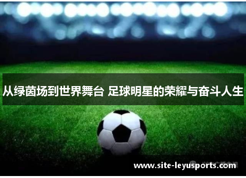 从绿茵场到世界舞台 足球明星的荣耀与奋斗人生