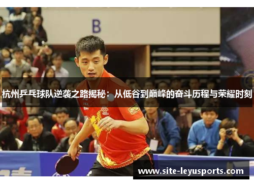 杭州乒乓球队逆袭之路揭秘：从低谷到巅峰的奋斗历程与荣耀时刻