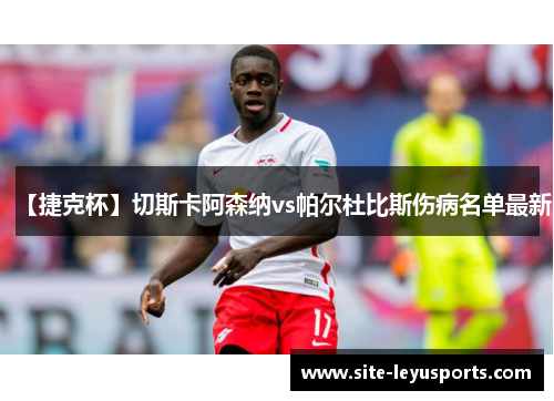 【捷克杯】切斯卡阿森纳vs帕尔杜比斯伤病名单最新
