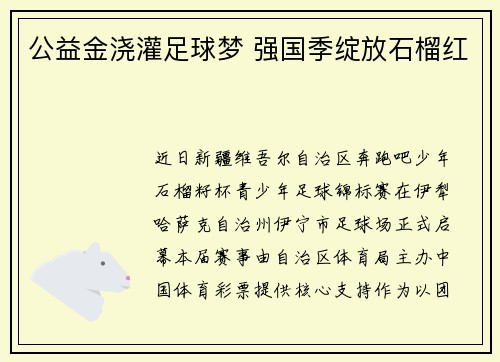 公益金浇灌足球梦 强国季绽放石榴红